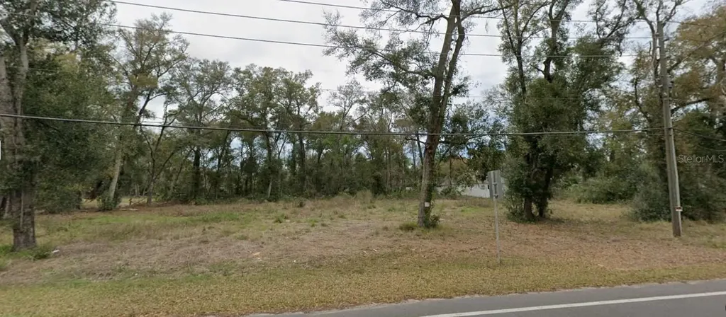 Tbd Sorrento Avenue Sorrento FL 32776