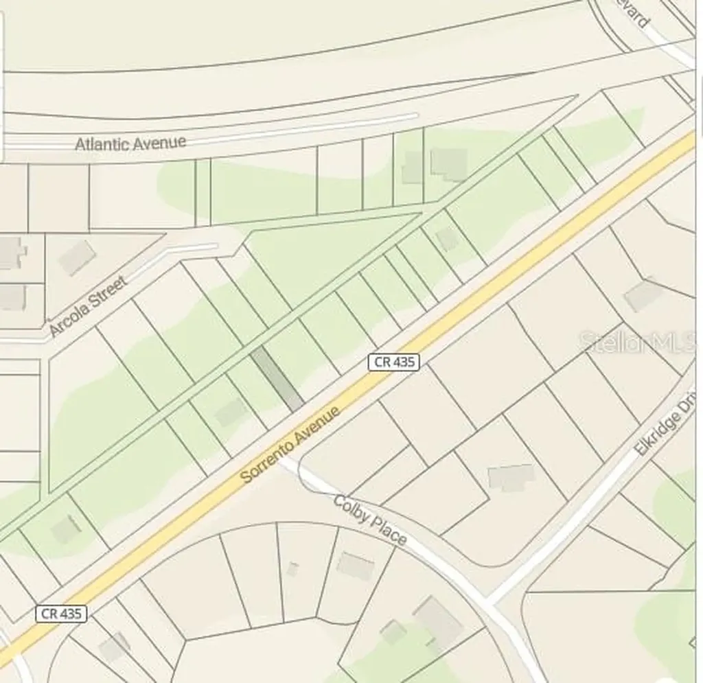 Tbd Sorrento Avenue Sorrento FL 32776