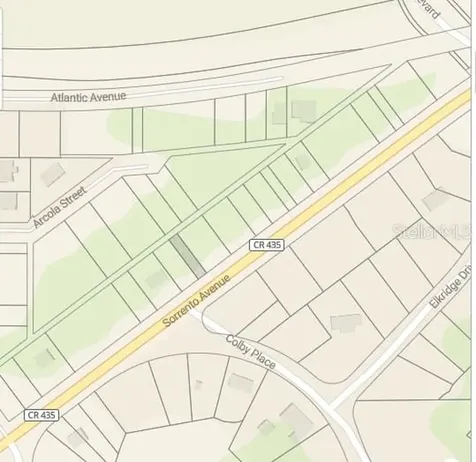 Tbd Sorrento Avenue Sorrento FL 32776