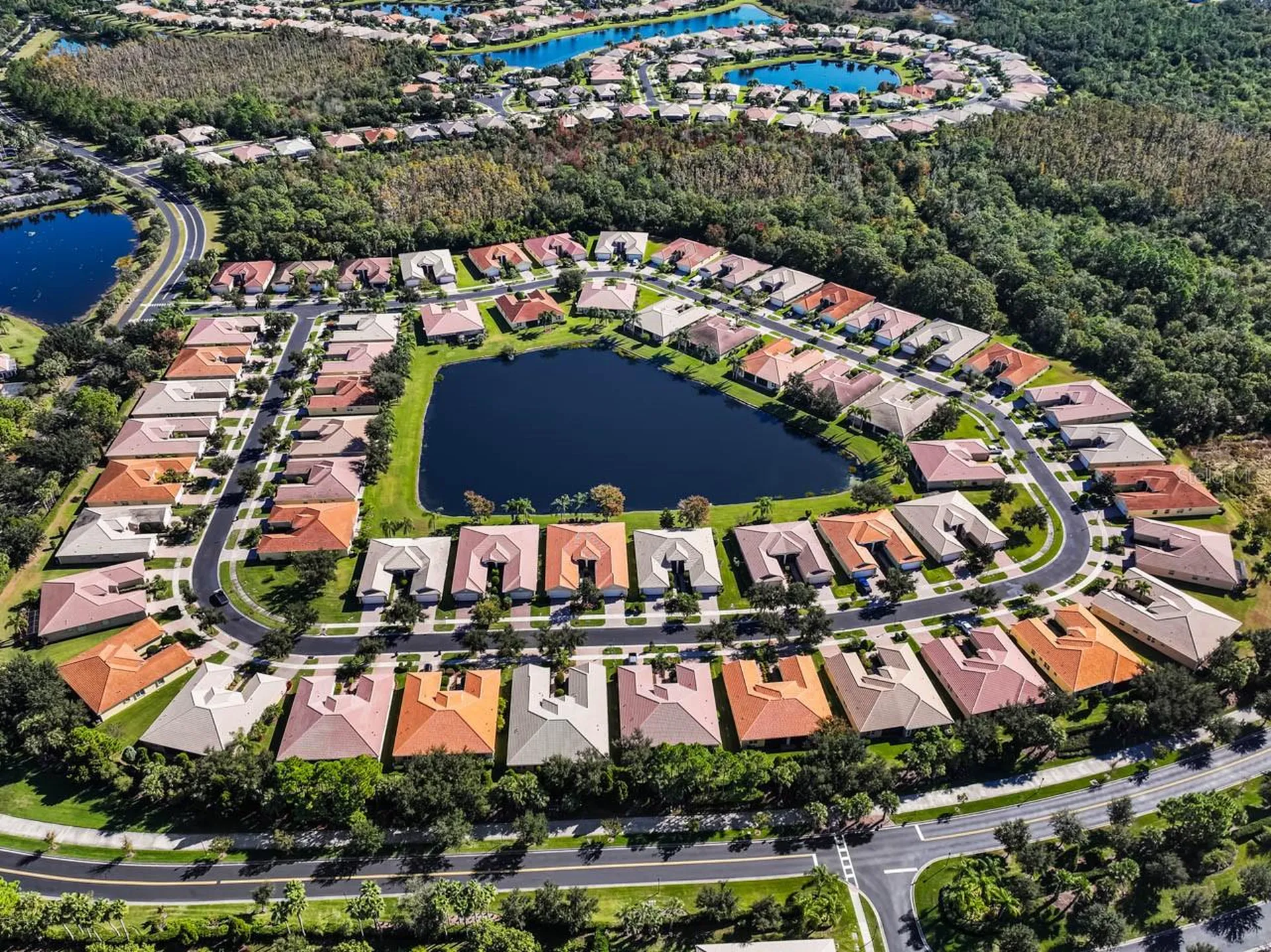 16252 Amethyst Key Drive Wimauma FL 33598