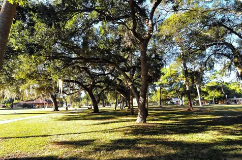 640 N Osprey Avenue Sarasota FL 34236