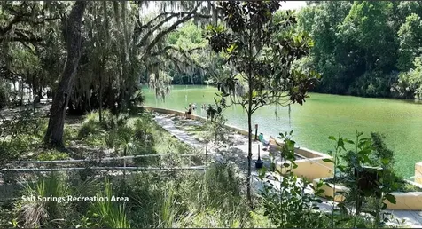 208 Garrison Avenue Georgetown FL 32139
