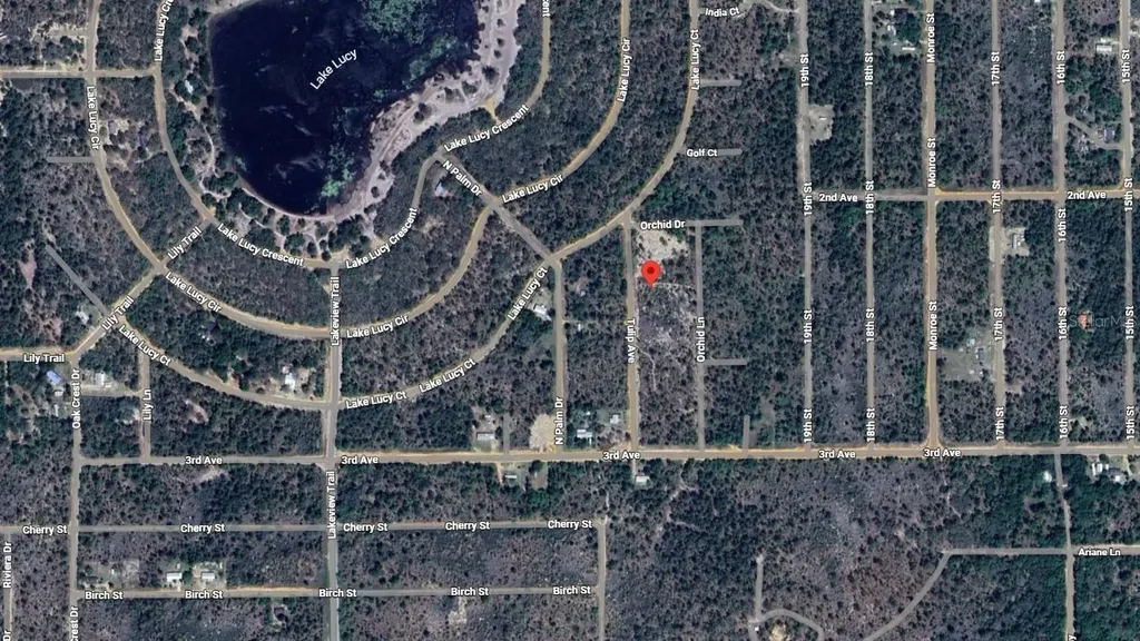 116 Tulip Avenue Interlachen FL 32148