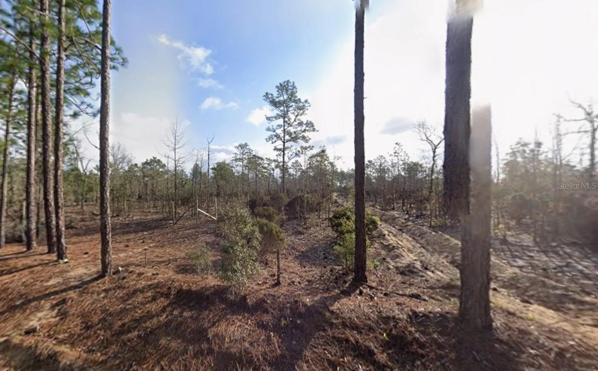 116 Tulip Avenue Interlachen FL 32148