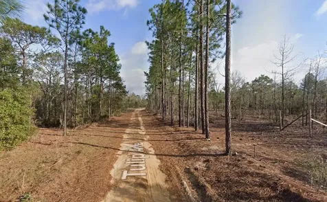 116 Tulip Avenue Interlachen FL 32148