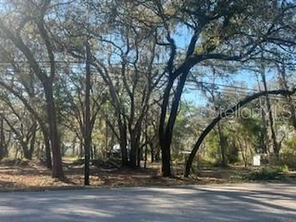 16222 Livingston Avenue Lutz FL 33559
