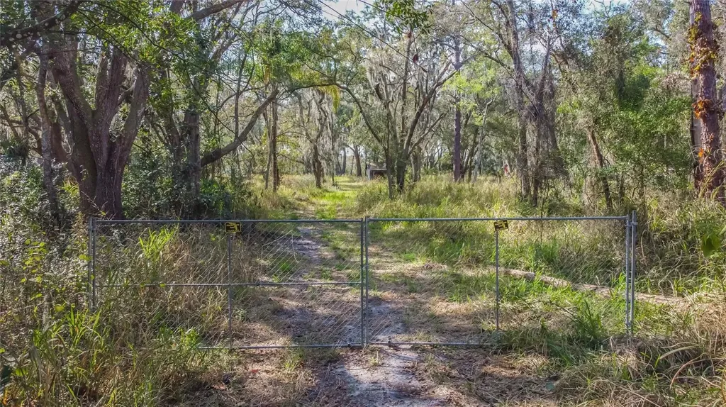 16222 Livingston Avenue Lutz FL 33559