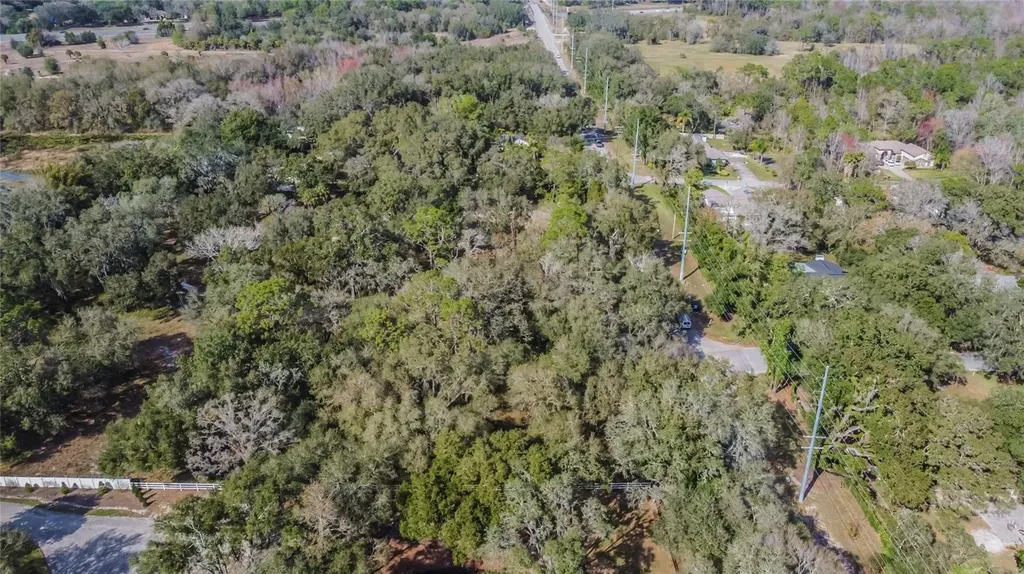 16222 Livingston Avenue Lutz FL 33559