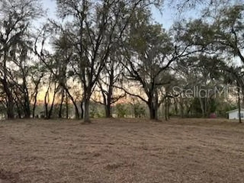 16222 Livingston Avenue Lutz FL 33559