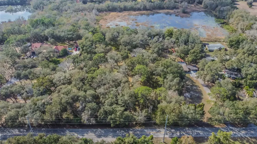 16222 Livingston Avenue Lutz FL 33559