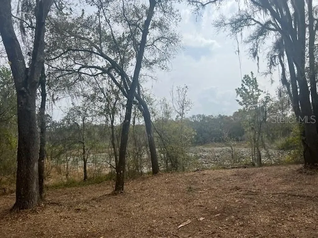 16222 Livingston Avenue Lutz FL 33559