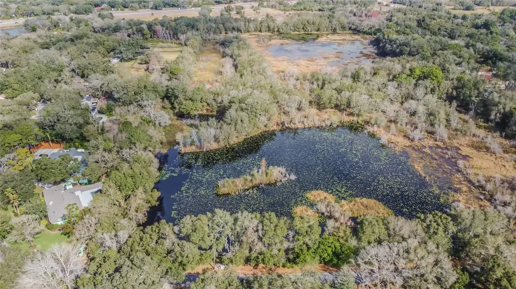 16222 Livingston Avenue Lutz FL 33559