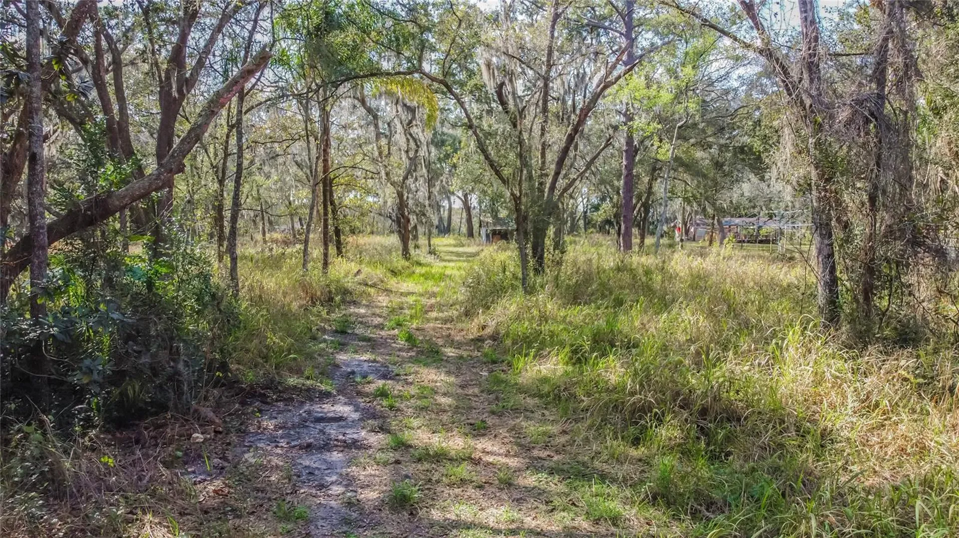 16222 Livingston Avenue Lutz FL 33559