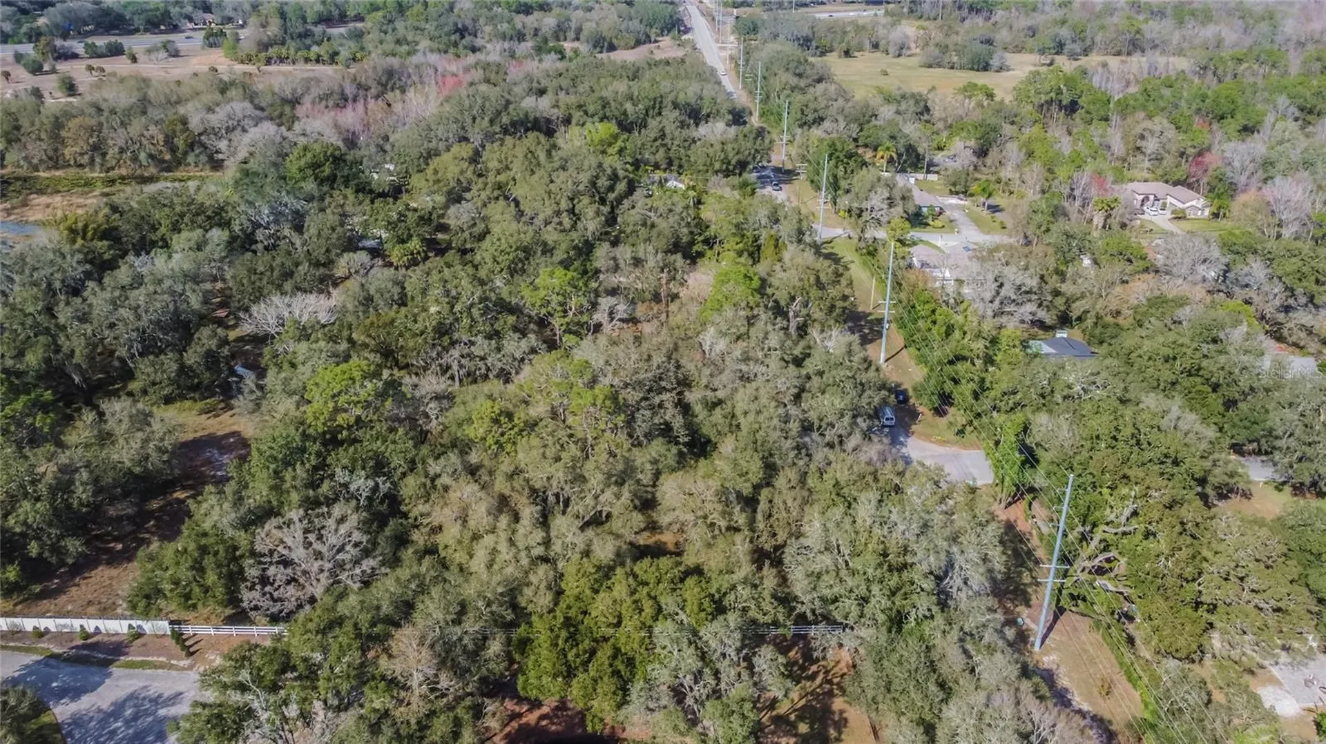 16222 Livingston Avenue Lutz FL 33559
