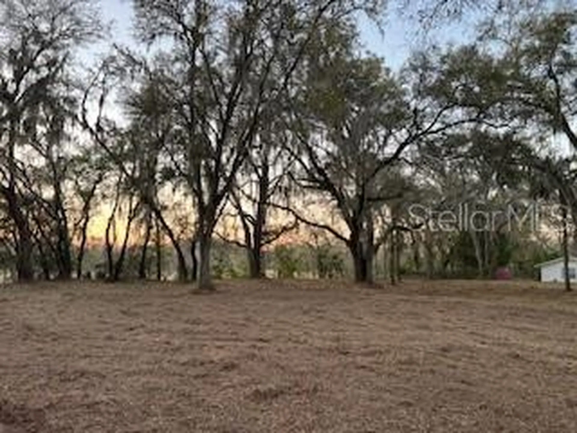 16222 Livingston Avenue Lutz FL 33559
