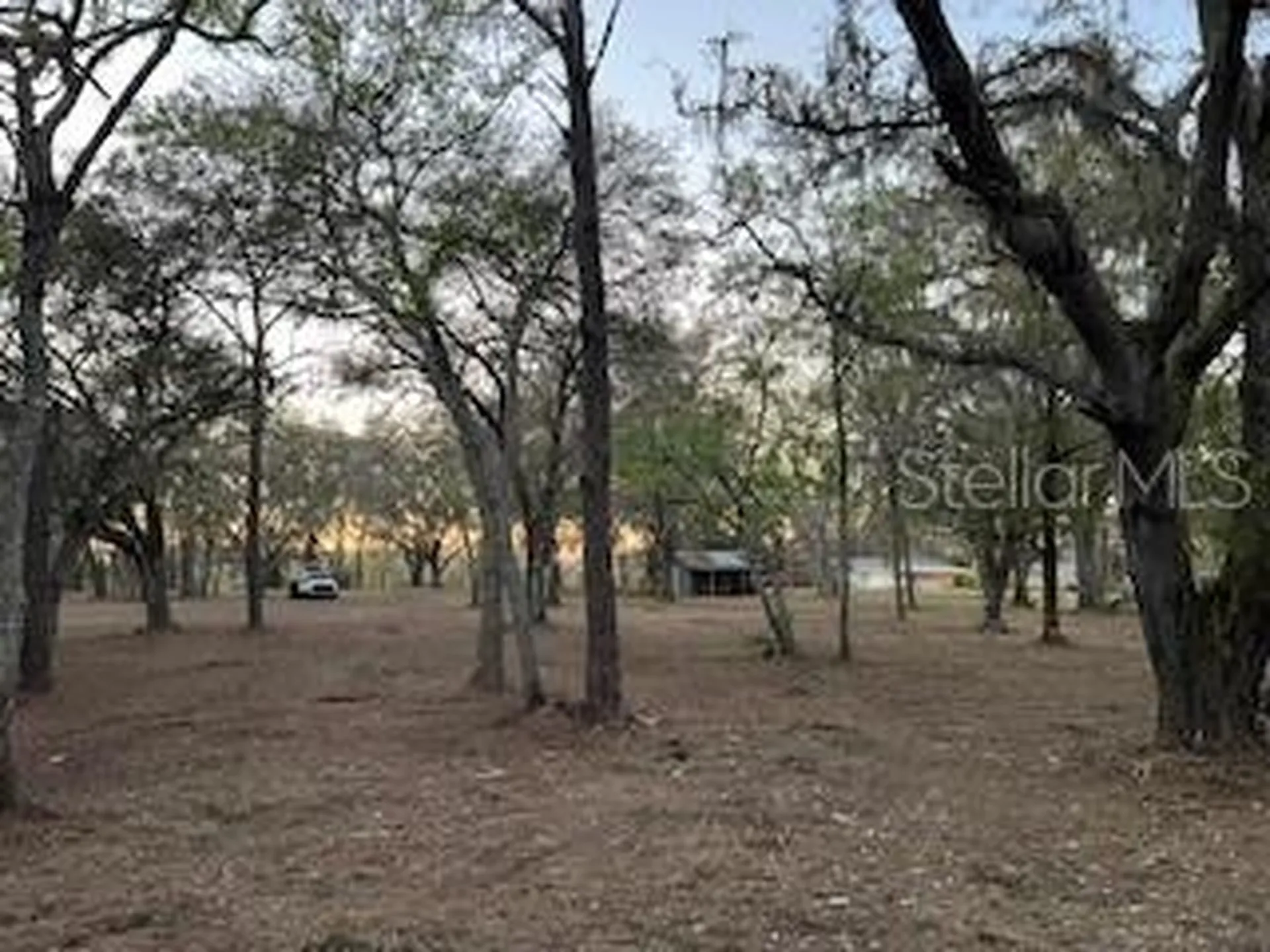 16222 Livingston Avenue Lutz FL 33559