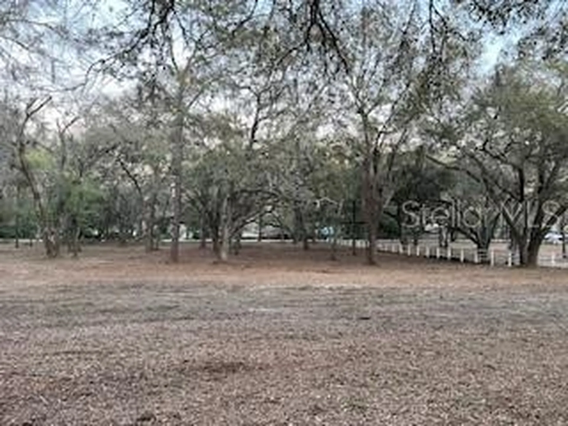 16222 Livingston Avenue Lutz FL 33559