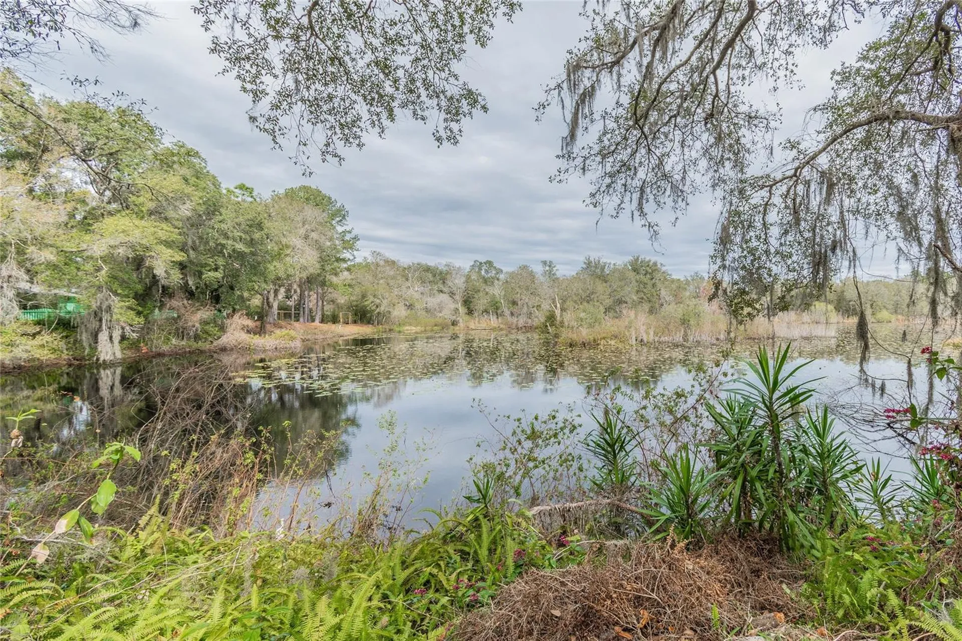 16222 Livingston Avenue Lutz FL 33559