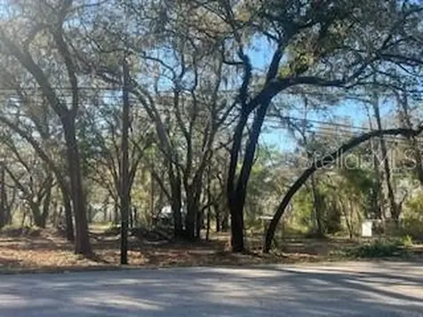 16222 Livingston Avenue Lutz FL 33559