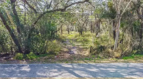 16222 Livingston Avenue Lutz FL 33559