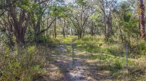 16222 Livingston Avenue Lutz FL 33559