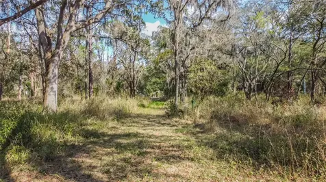 16222 Livingston Avenue Lutz FL 33559