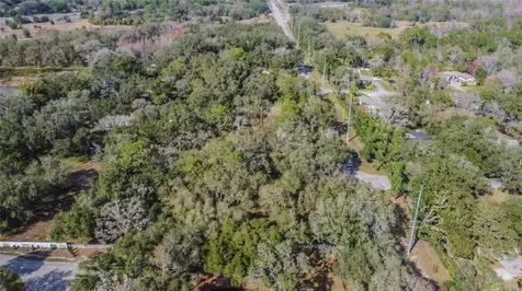 16222 Livingston Avenue Lutz FL 33559