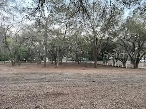16222 Livingston Avenue Lutz FL 33559