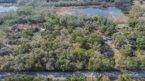 16222 Livingston Avenue Lutz FL 33559