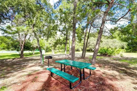 6067 Patricia Place Weeki Wachee FL 34607