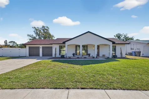 13933 Cherry Creek Drive Tampa FL 33618