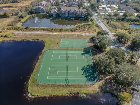 10462 White Lake Court Tampa FL 33626