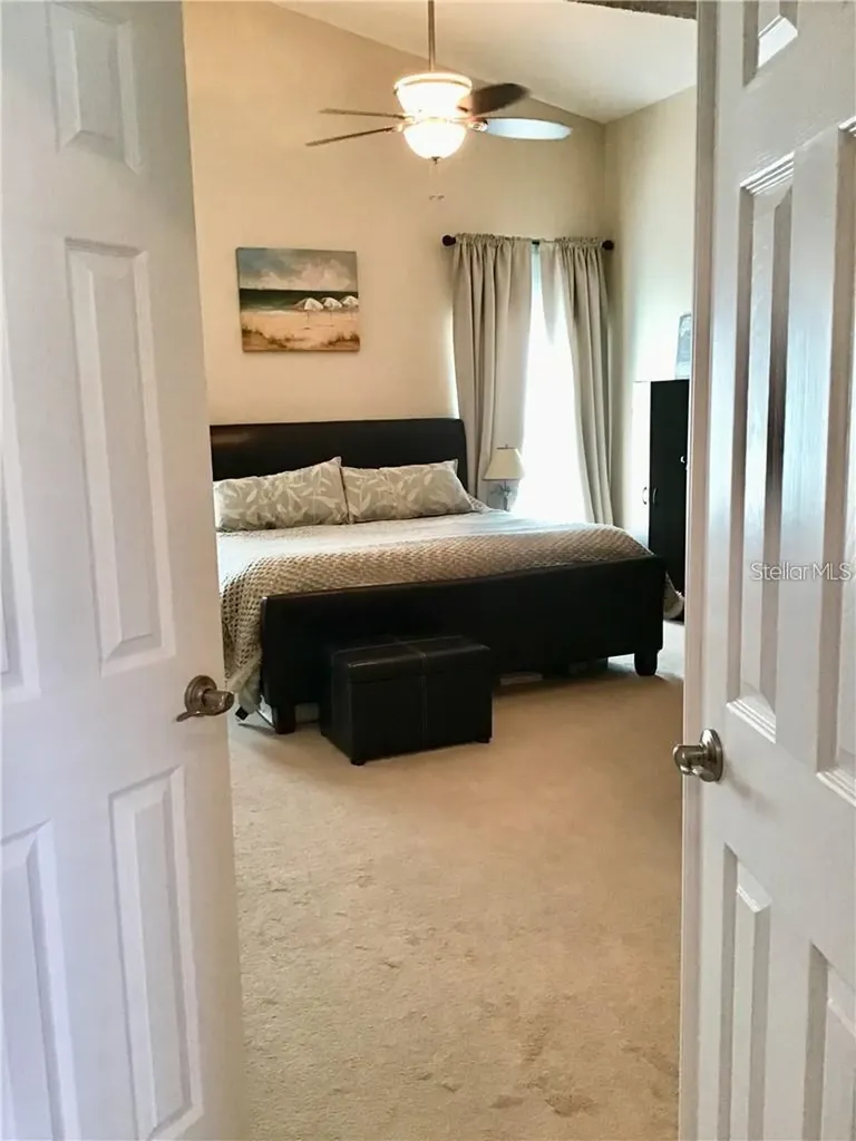 3662 Chatham Drive Palm Harbor FL 34684