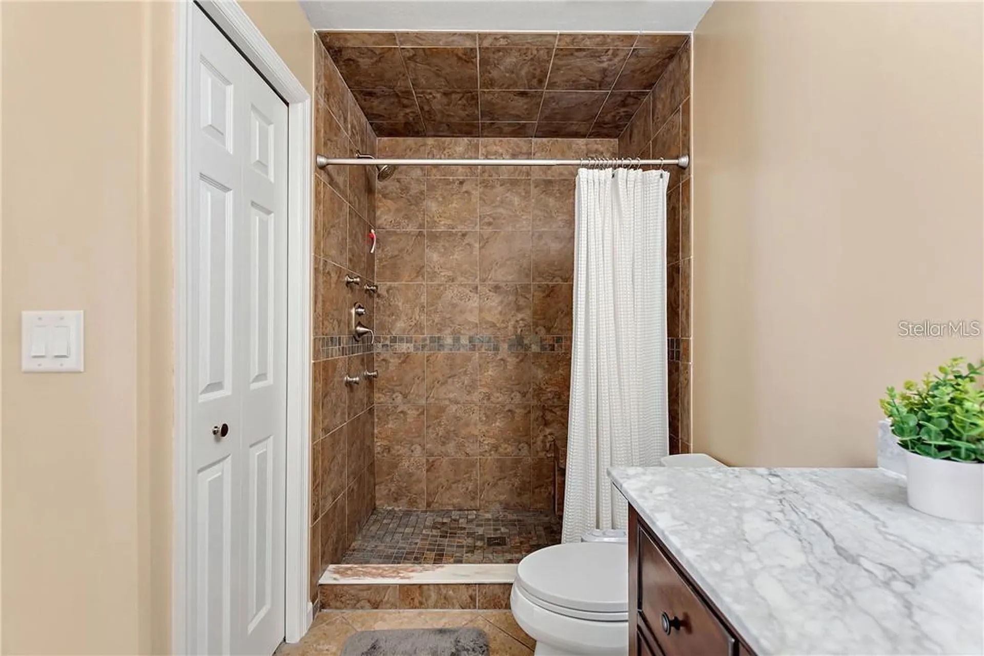 3662 Chatham Drive Palm Harbor FL 34684