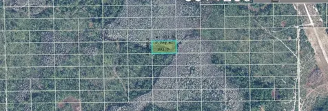 Dill Road Orlando FL 32820