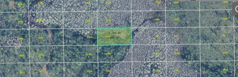 Dill Road Orlando FL 32820
