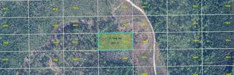 Dill Road Orlando FL 32820