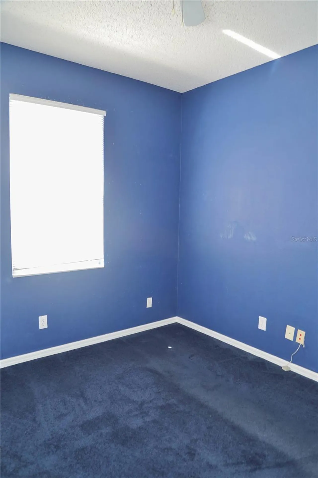 10224 Grant Creek Drive Tampa FL 33647