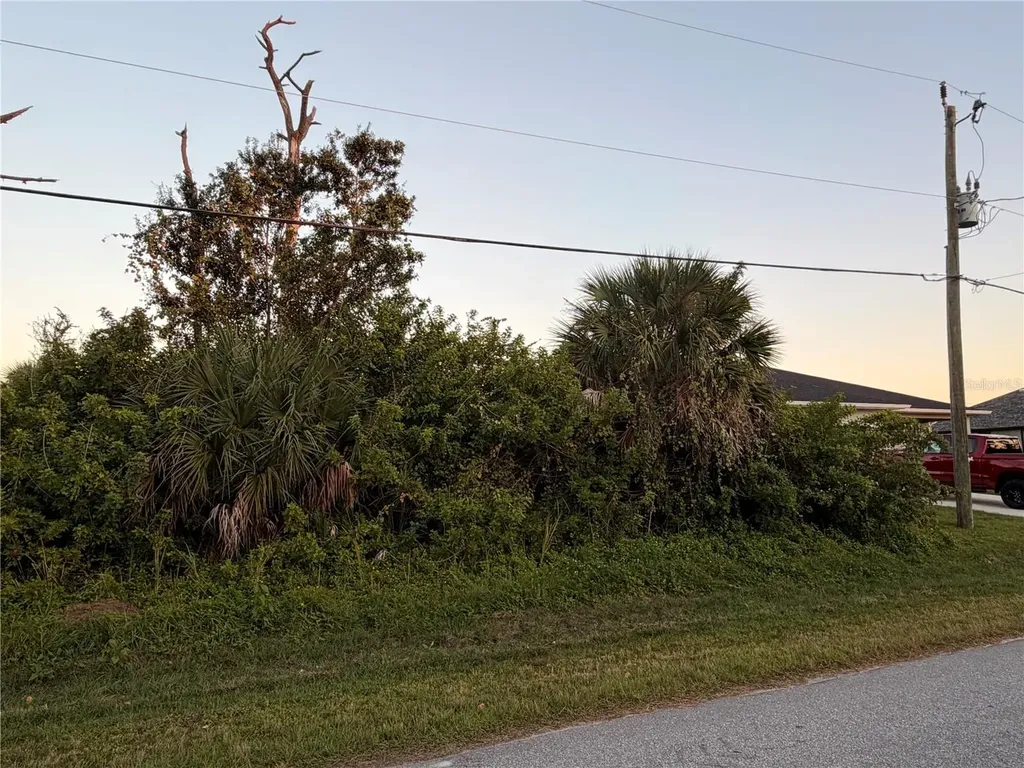 113 Opal Drive Rotonda West FL 33947