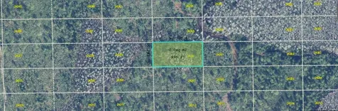Dill Road Orlando FL 32820