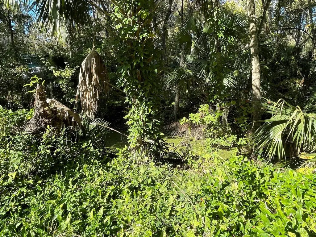 3785 Cr 405n Lake Panasoffkee FL 33538