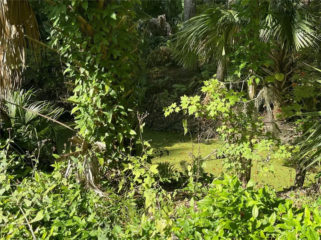 3785 Cr 405n Lake Panasoffkee FL 33538