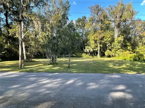 3785 Cr 405n Lake Panasoffkee FL 33538