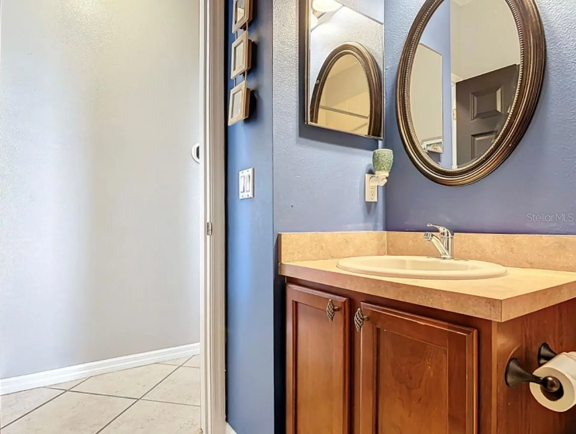 25227 Chipshot Court Sorrento FL 32776