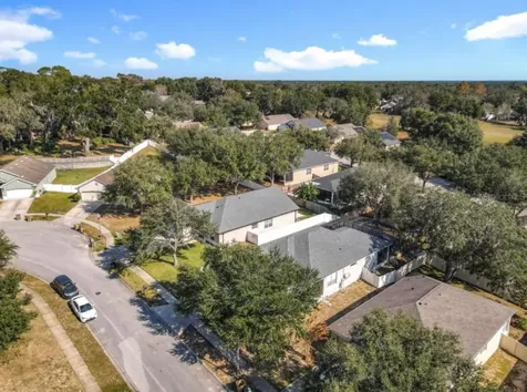 25227 Chipshot Court Sorrento FL 32776