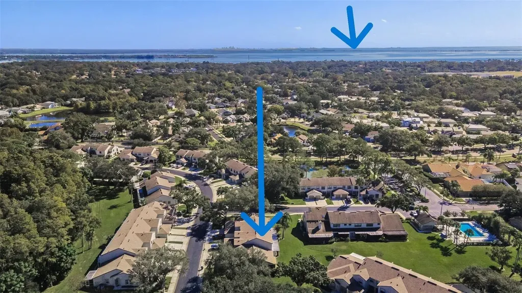 706 Quail Keep Drive Safety Harbor FL 34695