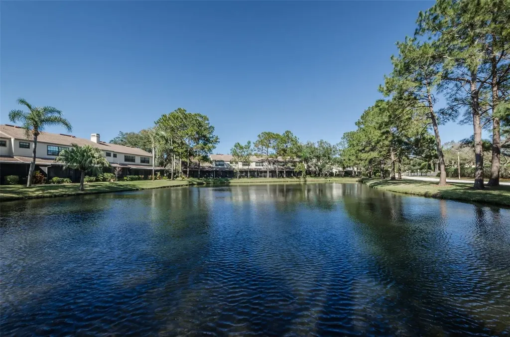 706 Quail Keep Drive Safety Harbor FL 34695