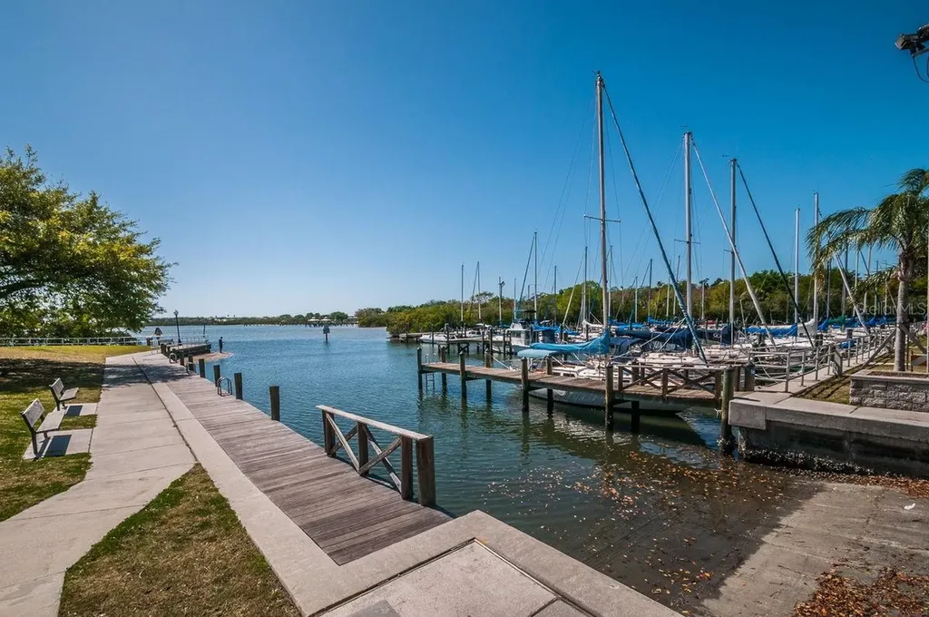 706 Quail Keep Drive Safety Harbor FL 34695