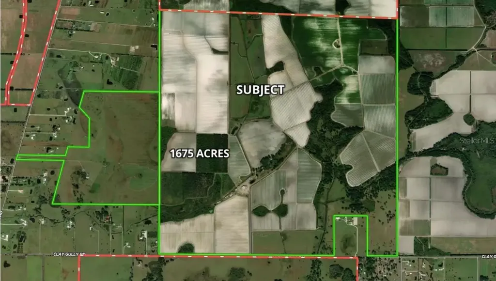 Clay Gully Road Myakka City FL 34251