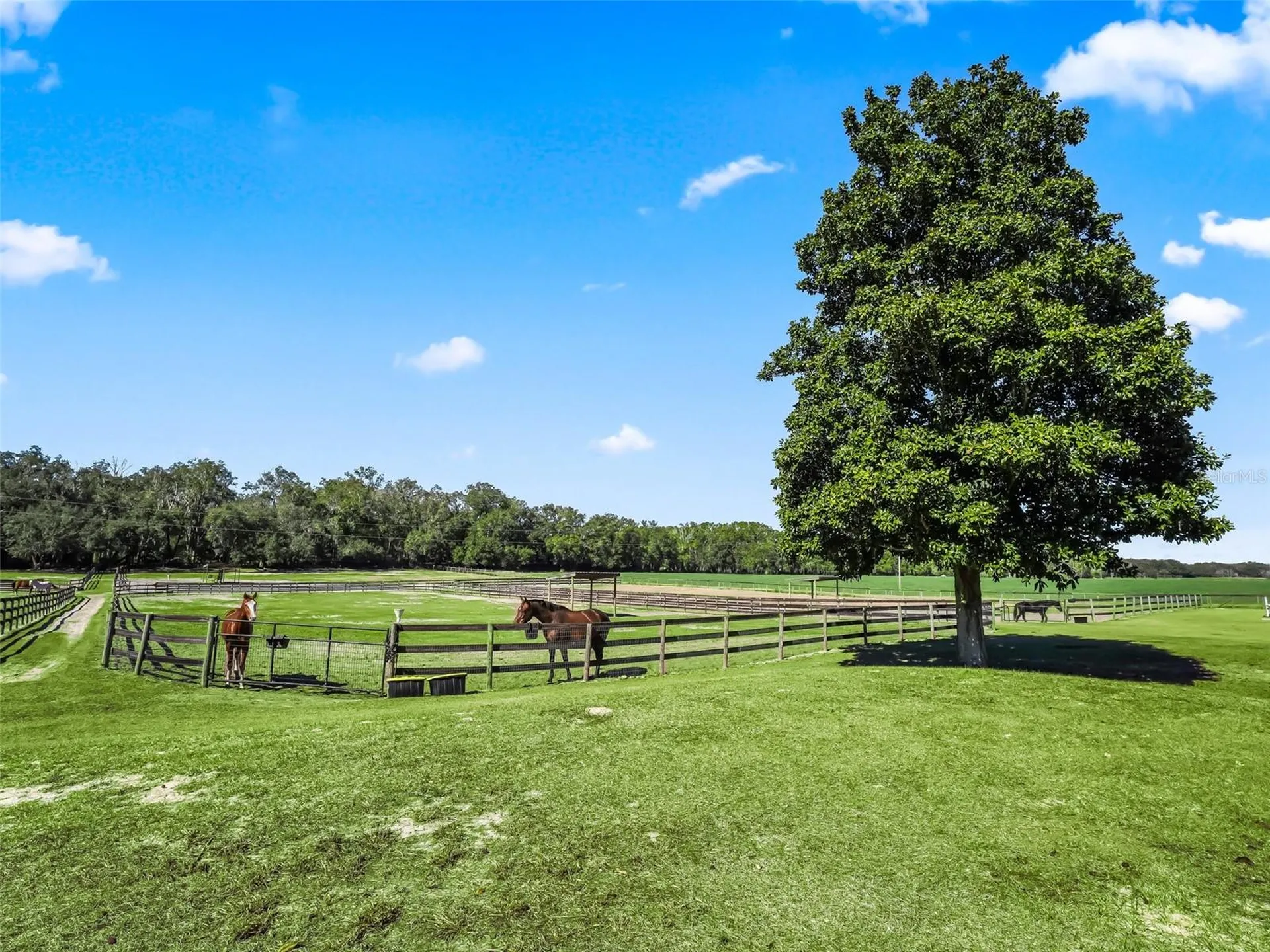 250 NE 195th Avenue Williston FL 32696